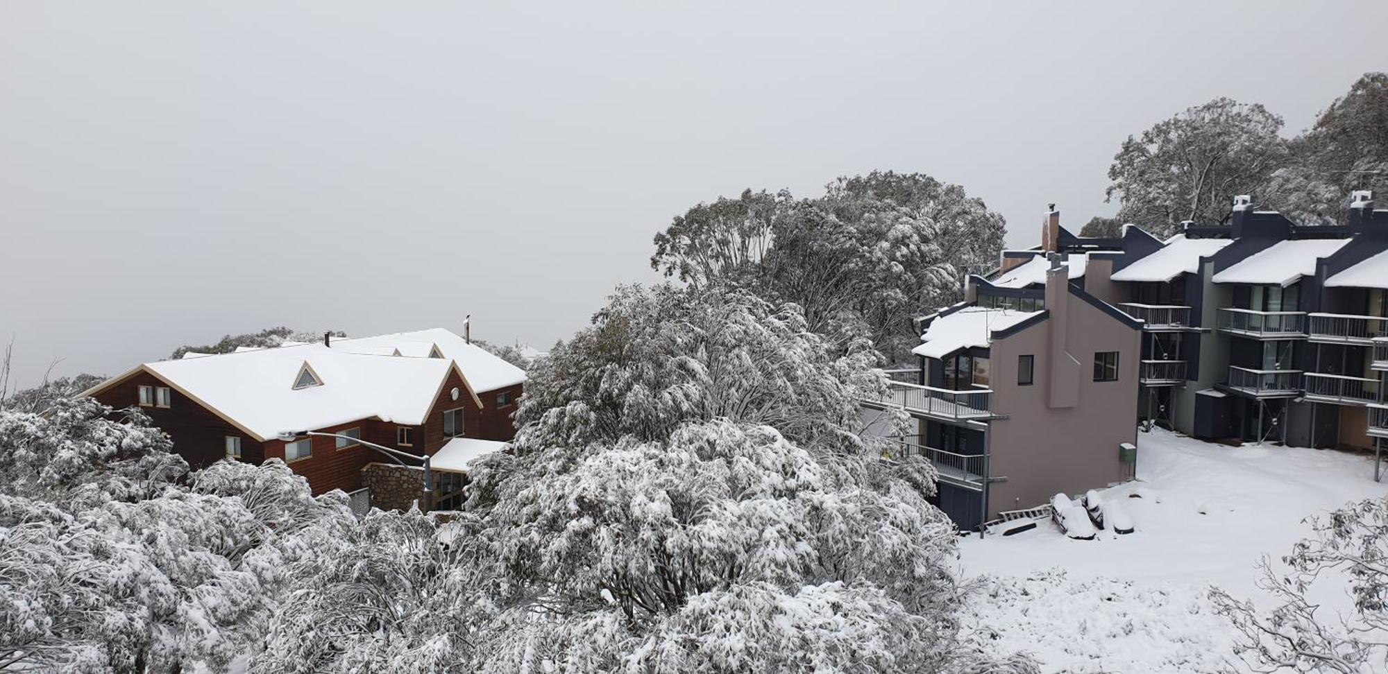 Cedarwood Apartments Falls Creek Esterno foto